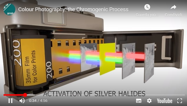 Colour Photography: the Chromogenic Process