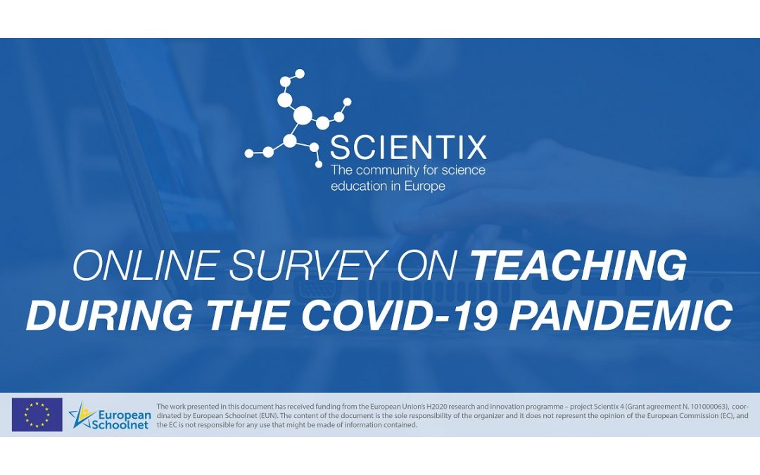 Teaching during the covid pandemic – survey