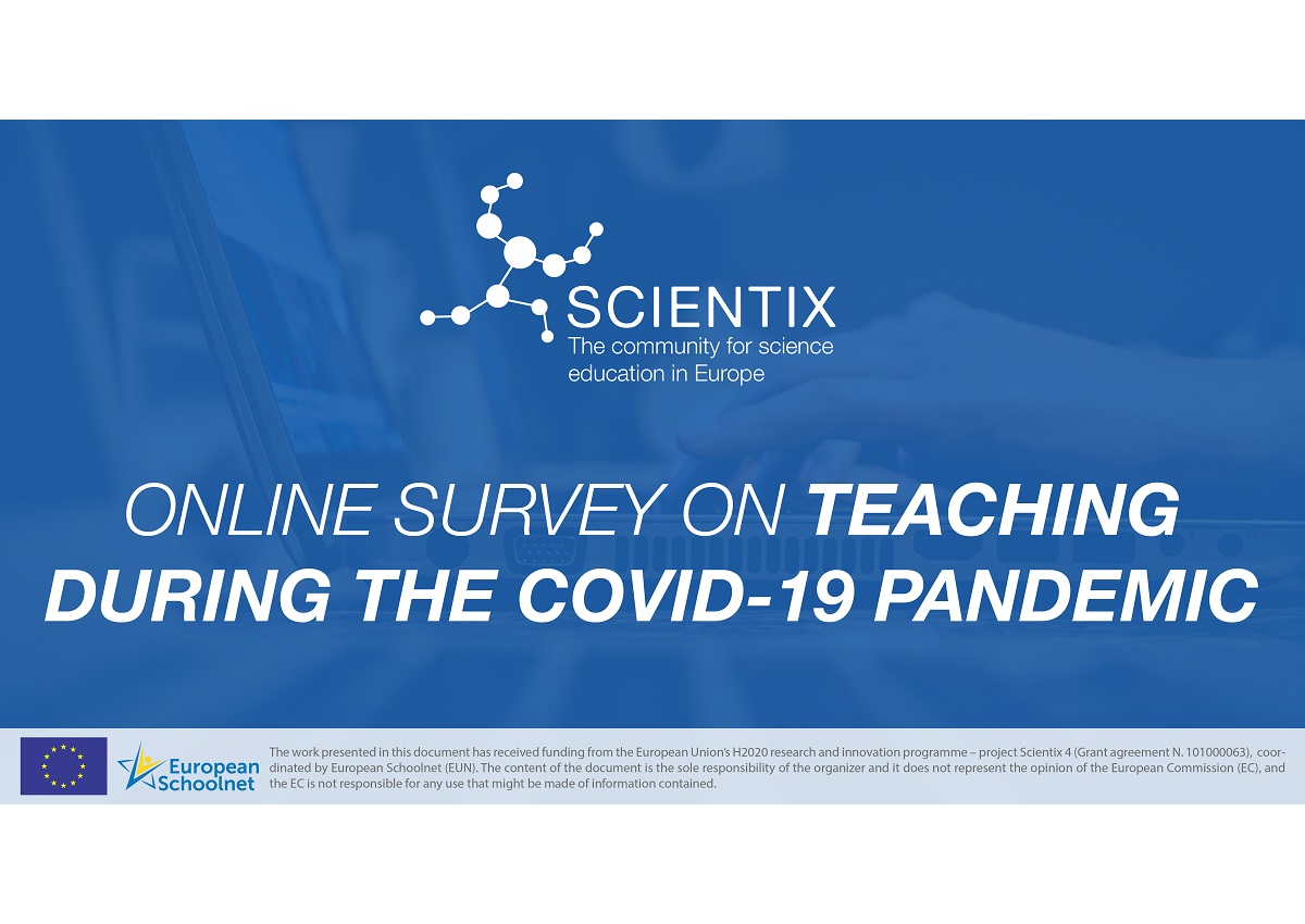 Teaching during the covid pandemic – survey