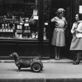 05 – Robert Doisneau_0