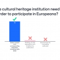 2-what-does-a-cultural-heritage-institution-need-to-provide