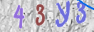 CAPTCHA Image