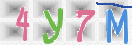 CAPTCHA Image
