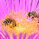 Art and Science Romania 2016 International Photo Contest