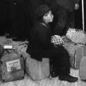 Migration Collection: alpha version released and call for content open!
