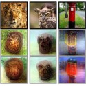 Two research that will change photography forever