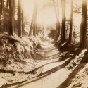 new Pinterest board: Pictorialism