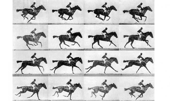 Muybridge's horse: a story of anatomy in action | Photoconsortium Association