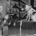 TopFoto published over 4.000 historical photographs in Europeana for the WEAVE project