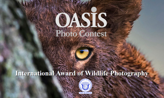 Oasis Photocontest: International Nature Photography Award