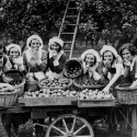 Centrum Agrarische Geschiedenis, Photoconsortium’s new member
