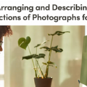Arranging and Describing Collections of Photographs for DRI – 17th October 2023