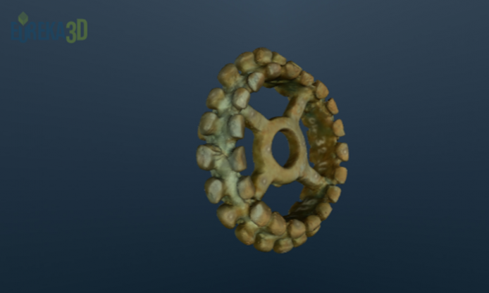 Fascinating 3D archeological heritage collection published in Europeana by Bibracte