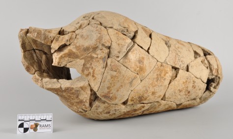 RAMS Museum publishes blogpost on Europeana Pro