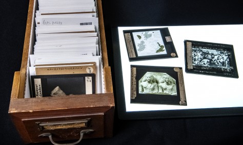 Boekentoren: Photoconsortium’s New Member